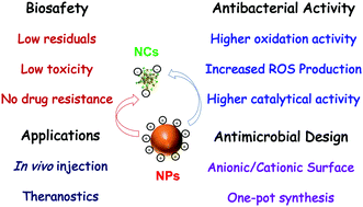Graphical abstract: Development of coinage metal nanoclusters as antimicrobials to combat bacterial infections