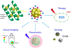 Graphical abstract: Advances in biomedical and pharmaceutical applications of protein-stabilized gold nanoclusters