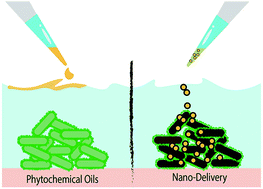 Graphical abstract: From bulk to nano-delivery of essential phytochemicals: recent progress and strategies for antibacterial resistance