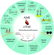 Graphical abstract: Electrochemical strategies for the detection of cTnI