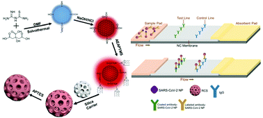 Graphical abstract: Immunoassay of SARS-CoV-2 nucleocapsid proteins using novel red emission-enhanced carbon dot-based silica spheres