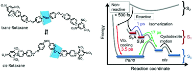 Graphical abstract: Ultrafast dynamics of an azobenzene-containing molecular shuttle based on a rotaxane