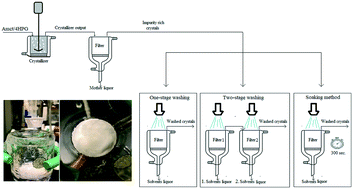 Graphical abstract: Purification of amoxicillin trihydrate in the presence of degradation products by different washing methods