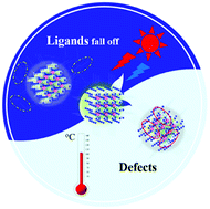 Graphical abstract: Thermal and photo stability of all inorganic lead halide perovskite nanocrystals