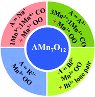 Graphical abstract: The rich physics of A-site-ordered quadruple perovskite manganites AMn7O12