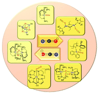 Graphical abstract: Recent advances in the chemistry of the phosphaethynolate and arsaethynolate anions