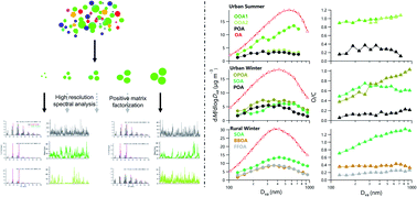 Graphical abstract: Size-resolved characterization of organic aerosol in the North China Plain: new insights from high resolution spectral analysis