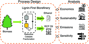 Graphical abstract: Techno-economic analysis and life cycle assessment of a biorefinery utilizing reductive catalytic fractionation