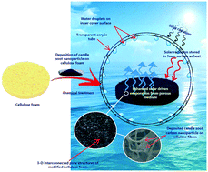 Graphical abstract: Development of a novel cellulose foam augmented with candle-soot derived carbon nanoparticles for solar-powered desalination of brackish water