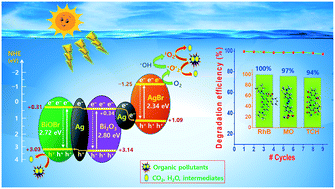 Graphical abstract: Microwave-assisted synthesis of a Z-scheme heterojunction Ag/AgBr@BiOBr/Bi2O3 photocatalyst for efficient organic pollutant degradation under visible light