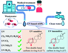 Graphical abstract: Removal of 26 corticosteroids, potential COVID-19 remedies, at environmentally relevant concentrations in water using UV/free chlorine, UV/monochloramine, and UV/hydrogen peroxide