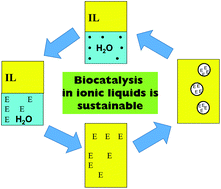 Graphical abstract: Biocatalysis in ionic liquids: state-of-the-union