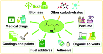 Graphical abstract: Research progress on the preparation and application of biomass derived methyl levulinate