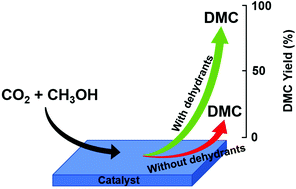 Graphical abstract: Catalytic processes for the direct synthesis of dimethyl carbonate from CO2 and methanol: a review