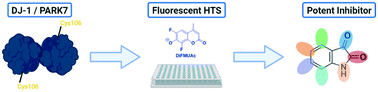 Graphical abstract: Deglycase-activity oriented screening to identify DJ-1 inhibitors