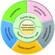 Graphical abstract: Recent advances in peptide-based nanomaterials for targeting hypoxia