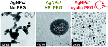 Graphical abstract: PEGylation of silver nanoparticles by physisorption of cyclic poly(ethylene glycol) for enhanced dispersion stability, antimicrobial activity, and cytotoxicity