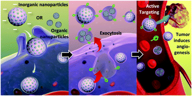 Graphical abstract: Integrated therapy platform of exosomal system: hybrid inorganic/organic nanoparticles with exosomes for cancer treatment
