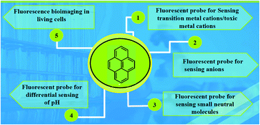 Graphical abstract: Pyrene based materials as fluorescent probes in chemical and biological fields