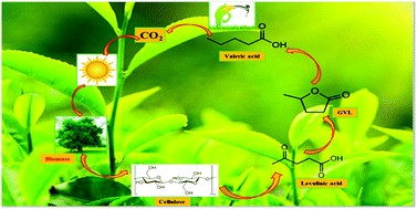 Graphical abstract: Recent advances in biomass-derived platform chemicals to valeric acid synthesis