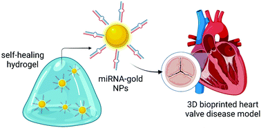 Graphical abstract: Controlled delivery of gold nanoparticle-coupled miRNA therapeutics via an injectable self-healing hydrogel