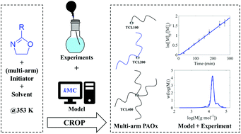 Graphical abstract: Differences and similarities between mono-, bi- or tetrafunctional initiated cationic ring-opening polymerization of 2-oxazolines