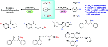 Graphical abstract: Facile and practical hydrodehalogenations of organic halides enabled by calcium hydride and palladium chloride