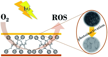 Graphical abstract: Photoactive antimicrobial coating based on a PEDOT-fullerene C60 polymeric dyad