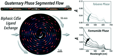 Graphical abstract: Continuous biphasic chemical processes in a four-phase segmented flow reactor