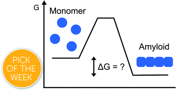 Graphical abstract: Stability matters, too – the thermodynamics of amyloid fibril formation