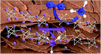 Graphical abstract: Dealloying layered PdBi2 nanoflakes to palladium hydride leads to enhanced electrocatalytic N2 reduction