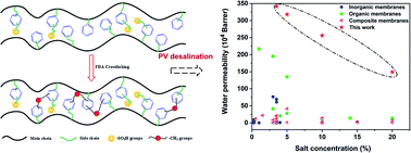 Graphical abstract: Benzene ring crosslinking of a sulfonated polystyrene-grafted SEBS (S-SEBS-g-PSt) membrane by the Friedel–Crafts reaction for superior desalination performance by pervaporation
