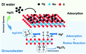 Graphical abstract: Matrix effects on the performance and mechanism of Hg removal from groundwater by MoS2 nanosheets