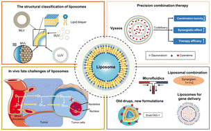 Graphical abstract: Pharmaceutical liposomal delivery—specific considerations of innovation and challenges