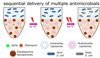 Graphical abstract: Laser-responsive sequential delivery of multiple antimicrobials using nanocomposite hydrogels