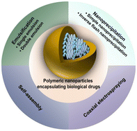 Graphical abstract: Polymeric nanomaterial strategies to encapsulate and deliver biological drugs: points to consider between methods