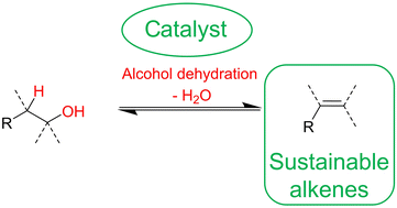 Graphical abstract: Sustainable routes to alkenes: applications of homogeneous catalysis to the dehydration of alcohols to alkenes