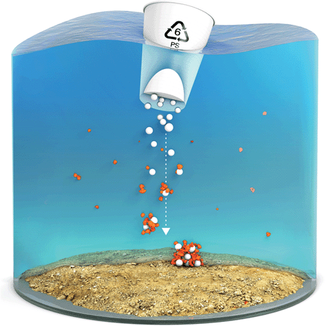 Graphical abstract: Heteroaggregation of PS microplastic with ferrihydrite leads to rapid removal of microplastic particles from the water column