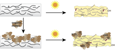 Graphical abstract: Photodegradation of polyolefin thin films in simulated freshwater conditions