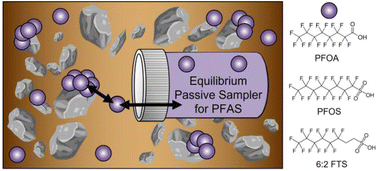 Graphical abstract: A field-validated equilibrium passive sampler for the monitoring of per- and polyfluoroalkyl substances (PFAS) in sediment pore water and surface water