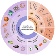 Graphical abstract: Recent advances in the design of controlled- and sustained-release micro/nanocarriers of pesticide