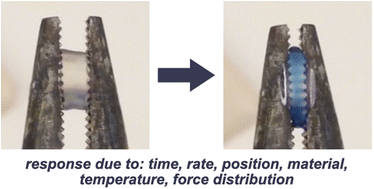 Graphical abstract: Concluding remarks: Fundamentals, applications and future of mechanochemistry