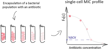 Graphical abstract: You will know by its tail: a method for quantification of heterogeneity of bacterial populations using single-cell MIC profiling
