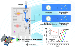 Graphical abstract: A sample-to-answer, quantitative real-time PCR system with low-cost, gravity-driven microfluidic cartridge for rapid detection of SARS-CoV-2, influenza A/B, and human papillomavirus 16/18