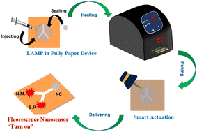 Graphical abstract: A microfluidic fully paper-based analytical device integrated with loop-mediated isothermal amplification and nano-biosensors for rapid, sensitive, and specific quantitative detection of infectious diseases