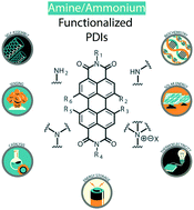 Graphical abstract: Concepts and principles of self-n-doping in perylene diimide chromophores for applications in biochemistry, energy harvesting, energy storage, and catalysis