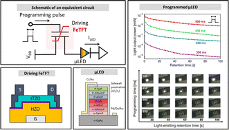 Graphical abstract: Demonstration of programmable light intensity of a micro-LED with a Hf-based ferroelectric ITZO TFT for Mura-free displays