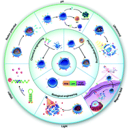 Graphical abstract: Engineered extracellular vesicles as intelligent nanosystems for next-generation nanomedicine