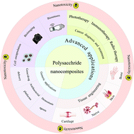 Graphical abstract: Polysaccharide-based nanocomposites for biomedical applications: a critical review