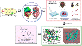 Graphical abstract: Coumarin-based derivatives targeting Trypanosoma cruzi cruzain and Trypanosoma brucei cathepsin L-like proteases